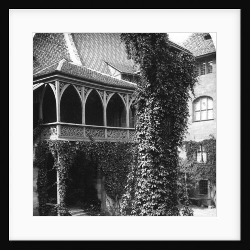 Lime tree in a courtyard, Nuremberg, Bavaria, Germany by Wurthle & Sons