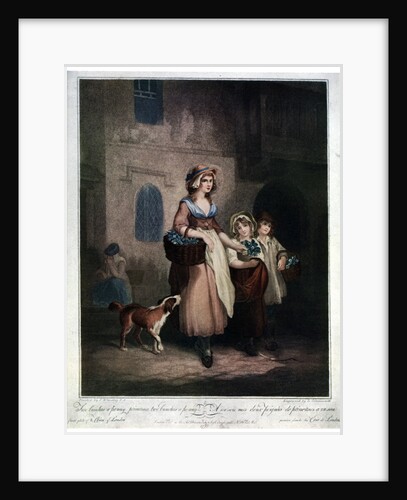 Two Bunches a Penny, Primroses, Two Bunches a Penny by Luigi Schiavonetti