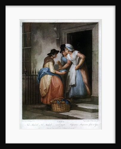 New Mackrel, New Mackrel by Nicolo Schiavonetti