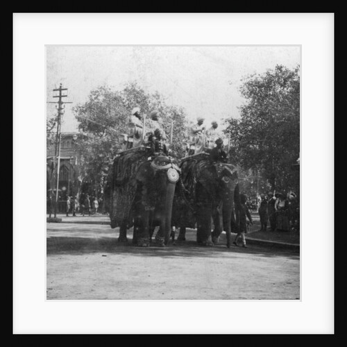 A Punjabi princess riding an elephant in a procession, Delhi, India by H Hands & Son