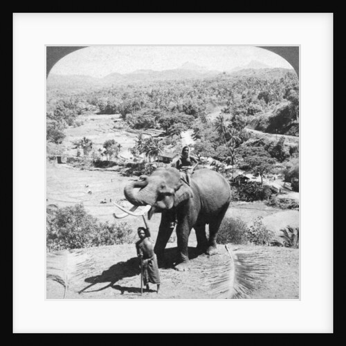 An elephant and its keeper, Sri Lanka by Underwood & Underwood