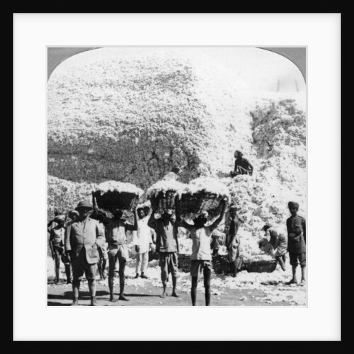 Men carrying baskets of cotton at an Indore cotton mill, India by Anonymous