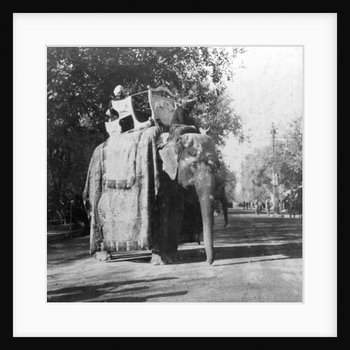 An elephant outside the railway station at Delhi, India by H Hands & Son