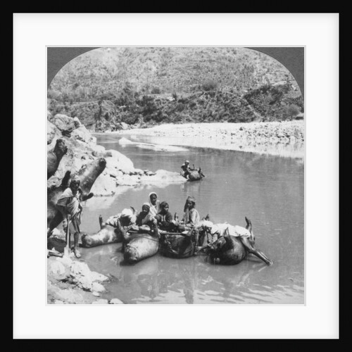 Inflated bullock skins used as ferry boats on the Sutlej River, Punjab, India by Anonymous