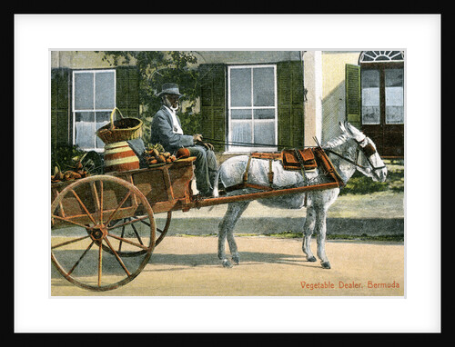 A vegetable dealer, Bermuda by Anonymous