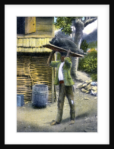 A man on his way to market to sell a pig, Jamaica by Anonymous
