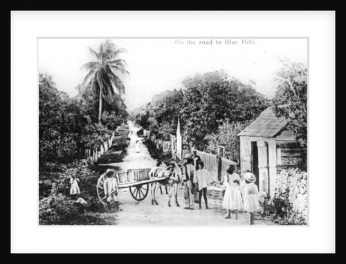 On the road to Blue Hills, Bahamas by Anonymous