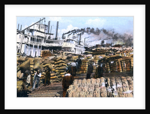 Loading cotton onto a ship, Memphis, Tennessee, USA by Anonymous