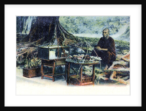 A man selling fruit under a tree, Hong Kong, China by Anonymous