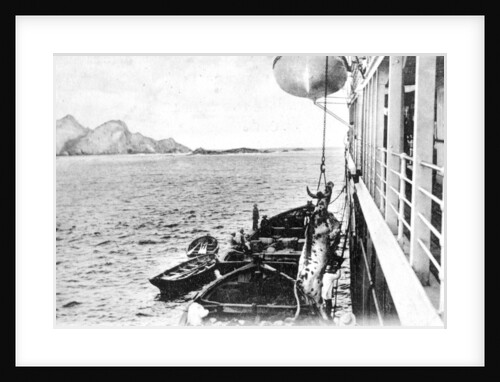 Winching a cow onto a boat off the coast of Chile by Anonymous