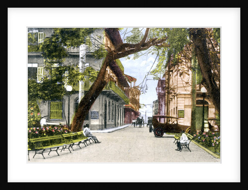 Sixth Street, Panama City by Anonymous