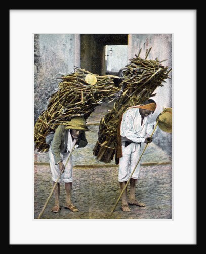 Two men carrying bundles of wood on their backs, Mexico by Anonymous