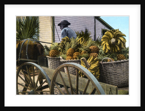 A fruit trader, Taboga Island, Panama by Anonymous