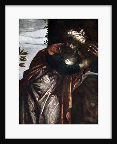 The Astronomer by Anonymous