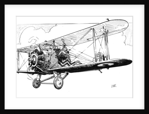 The Hawker Danecock aeroplane by James Hay Stevens