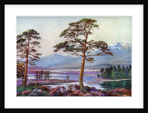 'On Loch Tulla, Black Mount, Argyllshire', Scotland by FC Varley