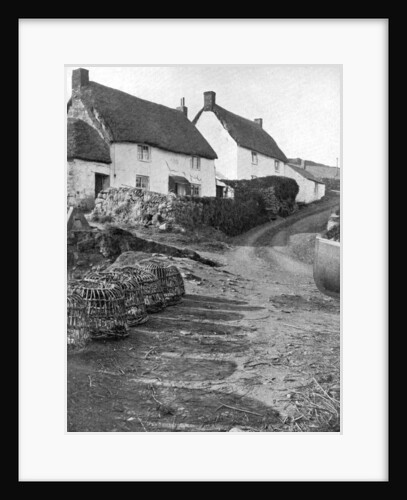 Thatched cottages in Cadgwith, Cornwall by Underwood