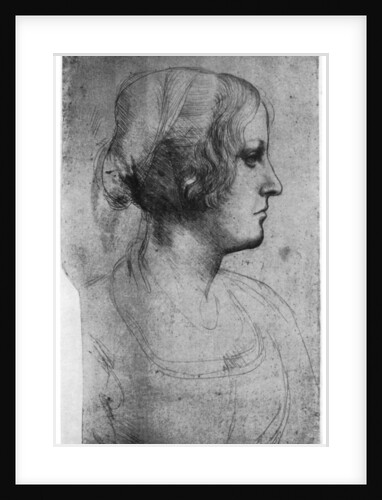 Portrait study of a young girl's head by Leonardo Da Vinci