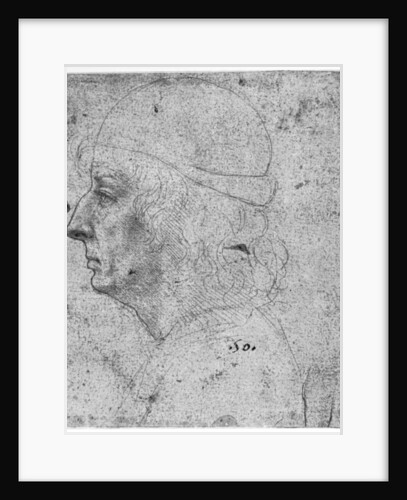 Portrait study of a man by Leonardo Da Vinci