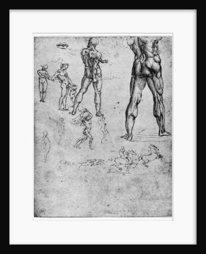 Nude studies for 'The Battle of Anghiari' by Leonardo Da Vinci