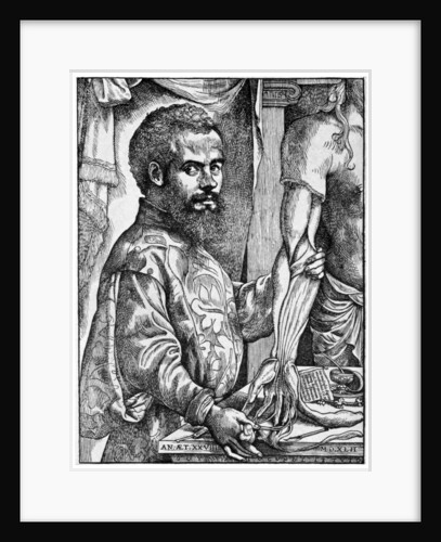Andreas Vesalius, 16th century Flemish anatomist by Anonymous