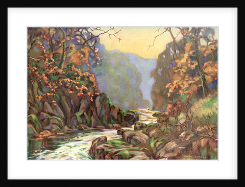 'On the Dargle, County Wicklow', Ireland by Catharine Chamney