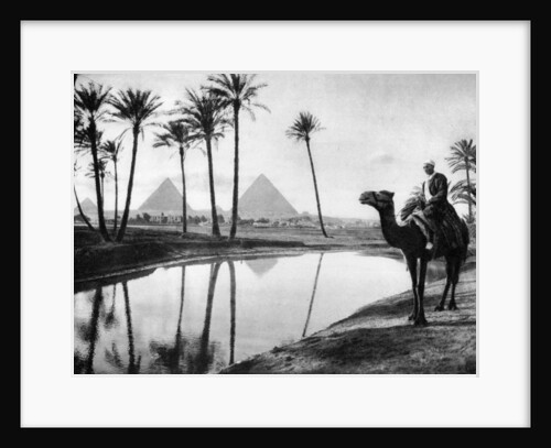 An oasis near Cairo, Egypt by Anonymous