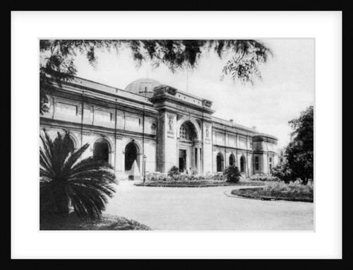 The Egyptian Museum, Cairo, Egypt by Anonymous
