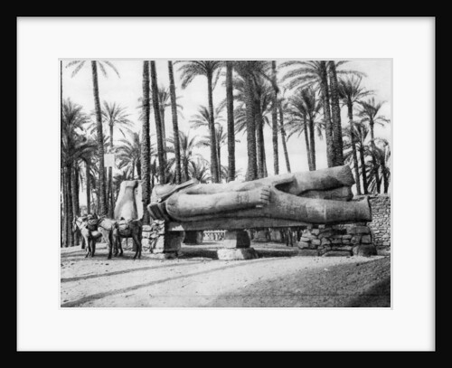 The Statue of Rameses II, Cairo, Egypt by Anonymous
