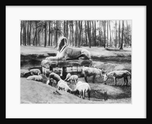 The Alabaster Sphinx, Cairo, Egypt by Anonymous