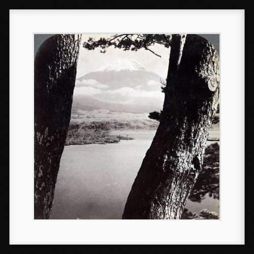 Mount Fuji, seen from the northwest, through pines at Lake Motosu, Japan by Underwood & Underwood