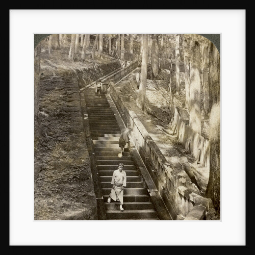 Ancient stone stairway up the hill to the tomb of Shogun Ieyasu, Nikko, Japan by Underwood & Underwood