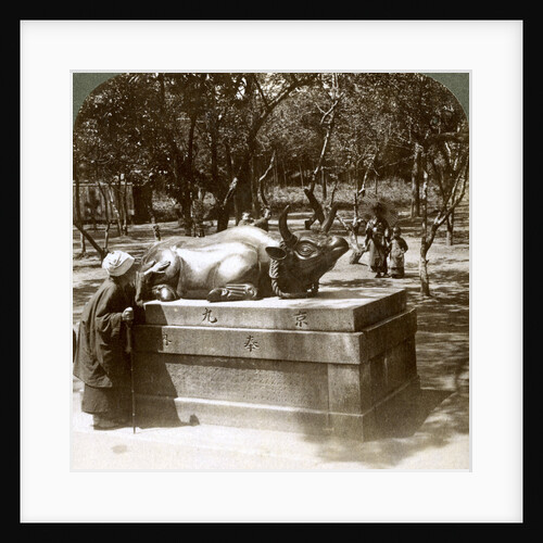Devout woman stroking a bronze bull to cure rheumatism, Kitano Tenjin temple, Kyoto, Japan by Underwood & Underwood