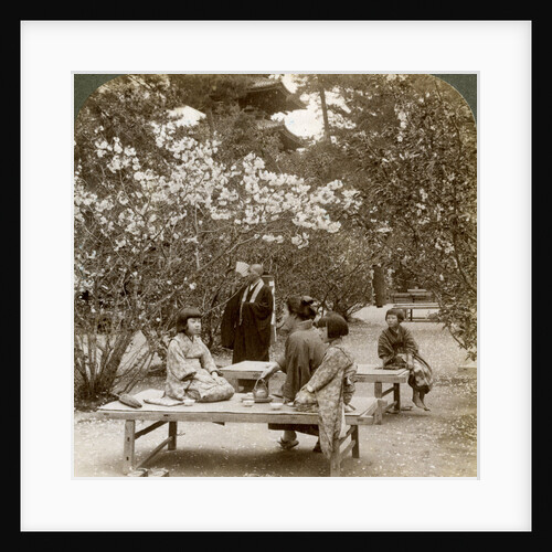 A family enjoying a picnic under the cherry blossoms, Omuro Gosho, Kyoto, Japan by Underwood & Underwood