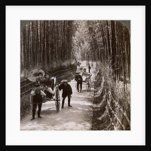 Bamboo avenue, looking south-west, near Kiyomizu, Kyoto, Japan by Underwood & Underwood