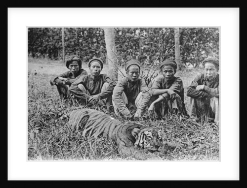 Tiger hunters, Tonkin, Vietnam by Anonymous