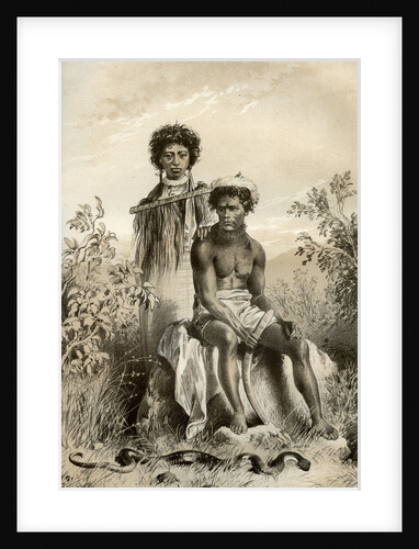 Maoris and carpet snake, New Zealand by McFarlane and Erskine