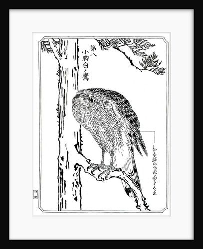 A hawk by Kawanabe Kyôsai