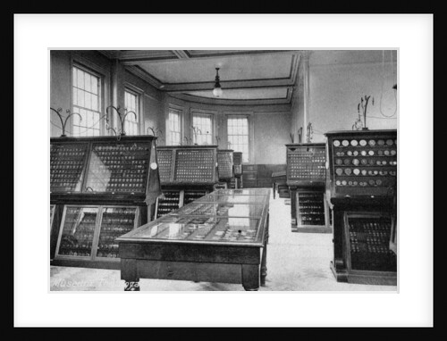 The Museum, the Royal Mint, Tower Hill, London by Anonymous
