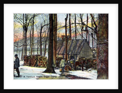 A Vermont maple sugar camp, USA by Anonymous