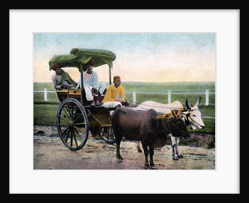 A Bombay reckla, India by Anonymous