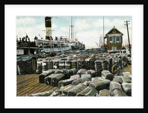 Cotton wharves, New Orleans, Louisiana, USA by Anonymous