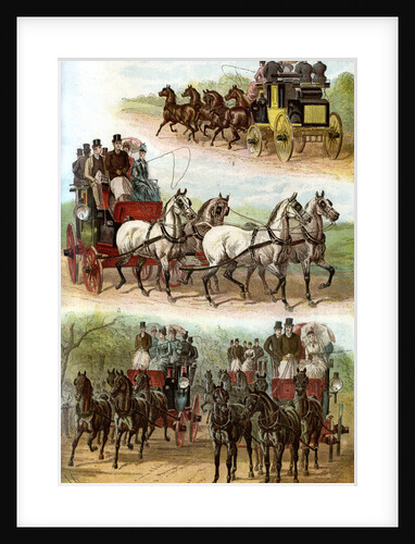 Celebrated Teams in the Park by Anonymous