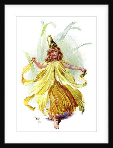 The Daffodil by Anonymous