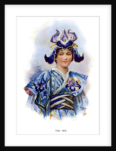 The Iris by Anonymous