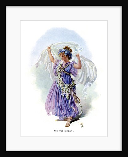 The Wild Hyacinth by Anonymous