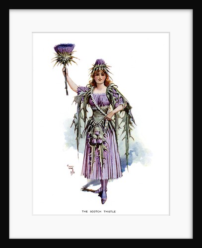 The Scotch Thistle by Anonymous
