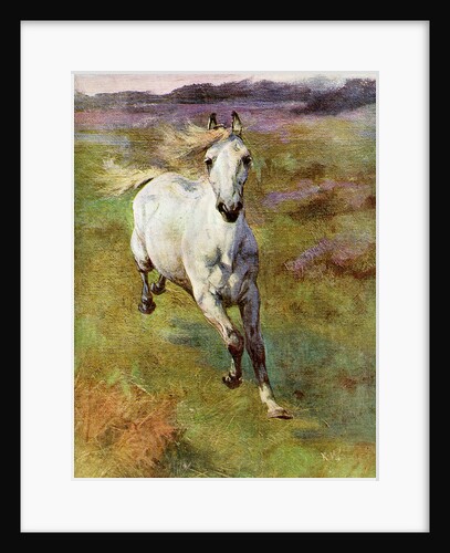Study from Life for 'Colt Hunting in the New Forest' by Anonymous
