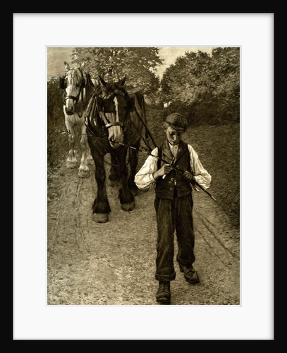 The Plough Boy by Anonymous