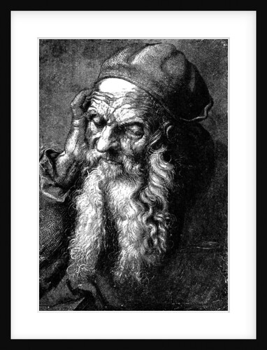 Study of an Old Man by Anonymous